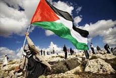 تحقیق فلسطین